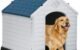 Golden Retriever Habitat: Creating the Perfect Environment for Your Four-Legged Friend 5 Golden Retriever Habitat