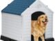 Golden Retriever Habitat: Creating the Perfect Environment for Your Four-Legged Friend 9 Golden Retriever Habitat