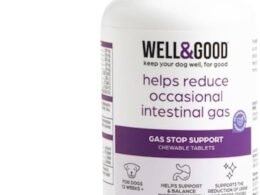 Good Dog Food for Gassy Dogs