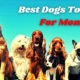 Easiest Dogs to Breed for Money 8 Easiest Dogs to Breed for Money