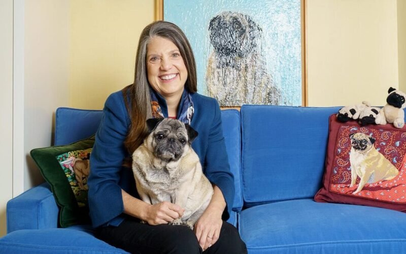 My Dog Stare at the Wall