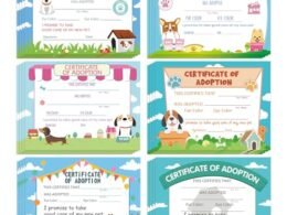 Best Dog Adoption Centers