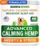 Best Dog Anxiety Solutions