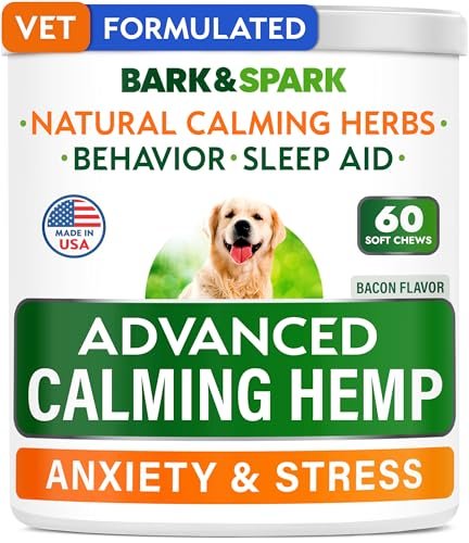 Best Dog Anxiety Solutions