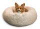 Best Dog Bed Options