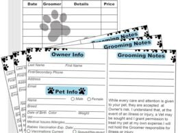 Best Dog Boarding Facilities