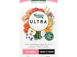 Best Dog Breed Recommendations