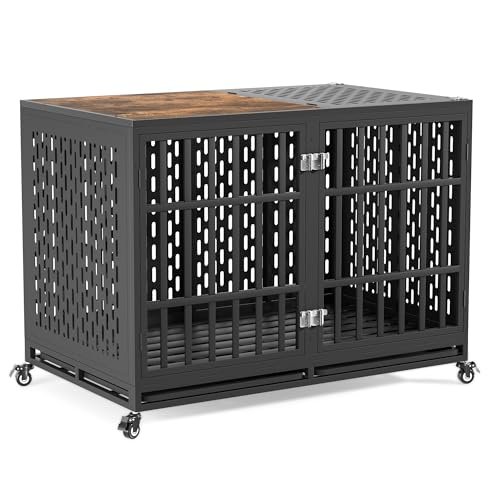 Best Dog Crate Options