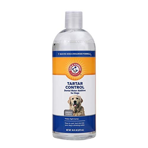 Best Dog Dental Care Products