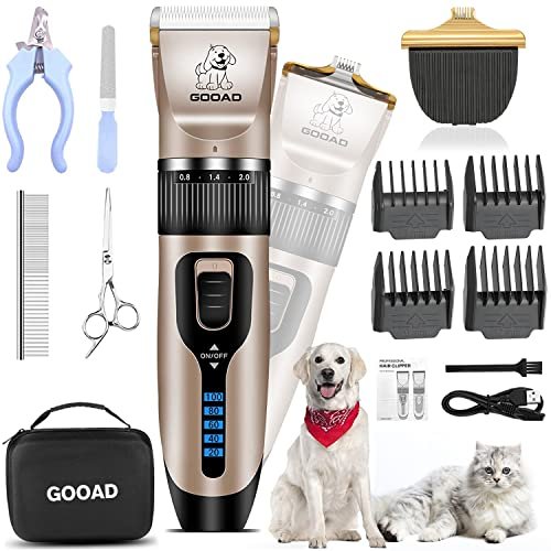 Best Dog Grooming Tools