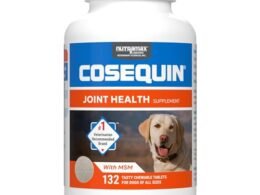 Best Dog Health Supplements