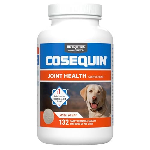 Best Dog Health Supplements