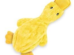 Best Dog Toys for Puppies