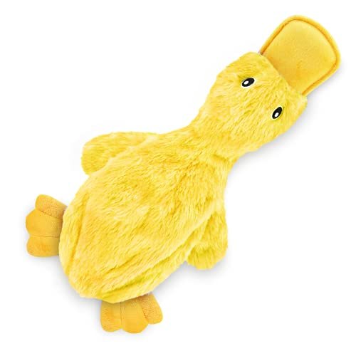 Best Dog Toys for Puppies
