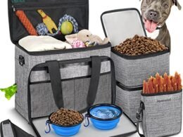 Best Dog Travel Essentials